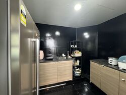 Fortune Park (D19), Condominium #550868681